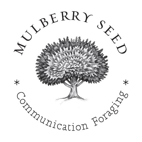 Mulberry Seed